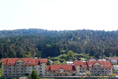 SUŠENJE DREVES ILUSTRACIJA 05 FOTO LJUBO VUKELIČ